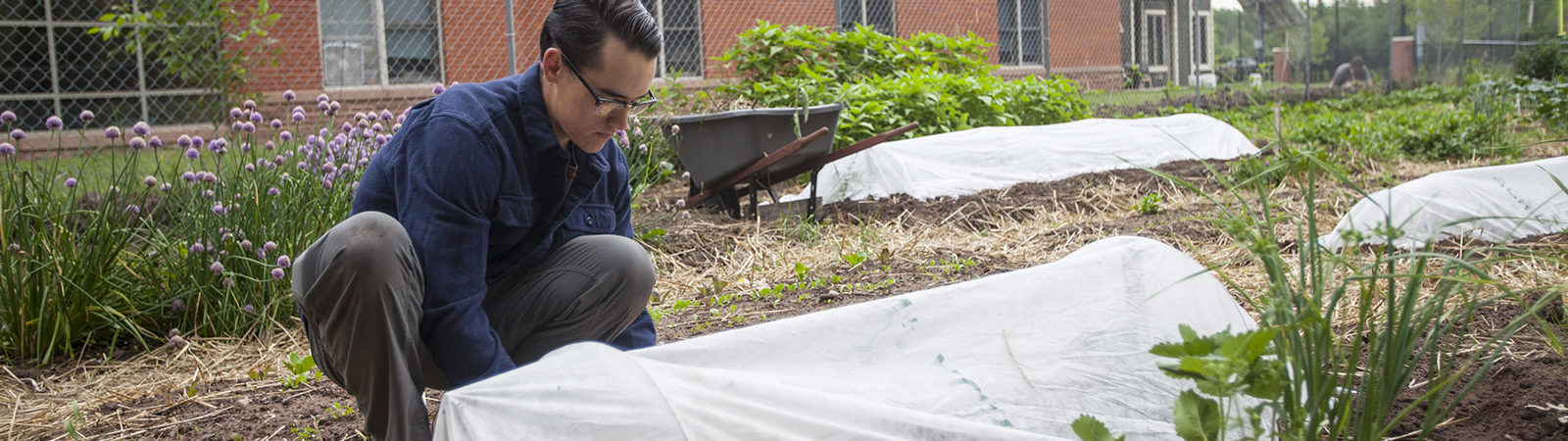 Northland College student installing hoop house